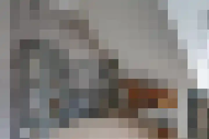 Sterkenhoeve 11 Rijen thumbnail 25