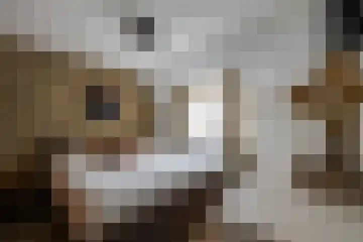 Sterkenhoeve 11 Rijen thumbnail 27