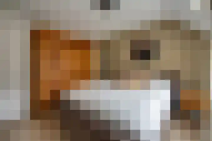 Sterkenhoeve 11 Rijen thumbnail 30