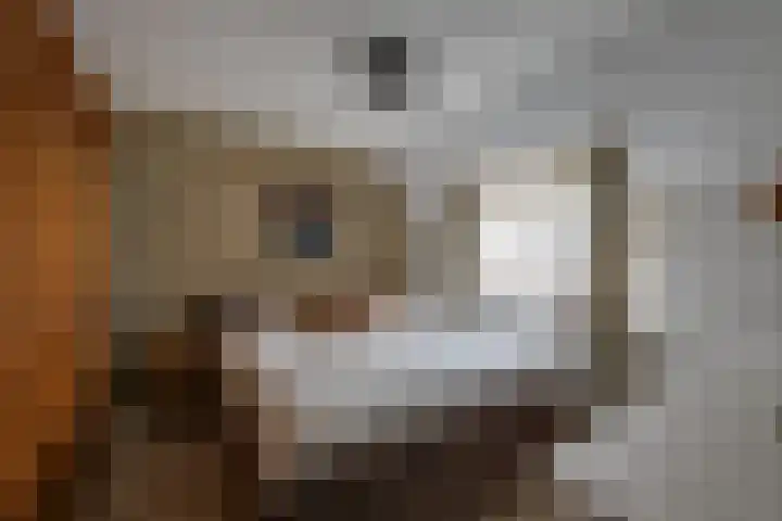 Sterkenhoeve 11 Rijen thumbnail 31