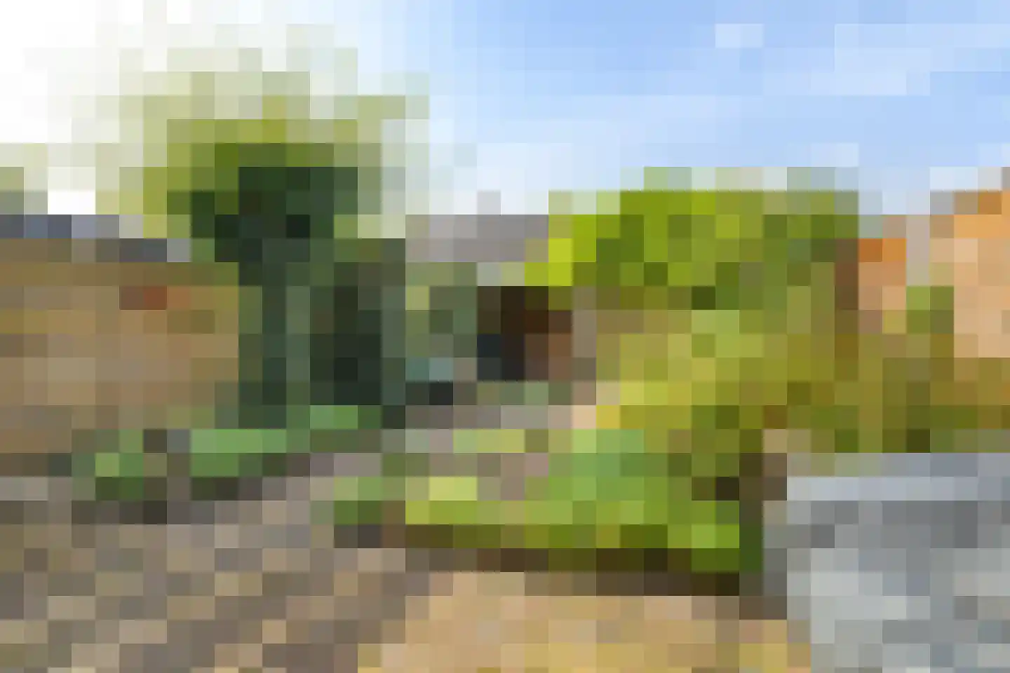 Sterkenhoeve 7 Rijen thumbnail 33