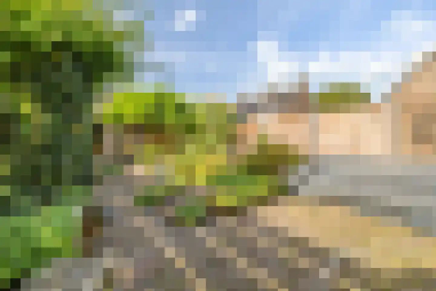 Sterkenhoeve 7 Rijen thumbnail 34