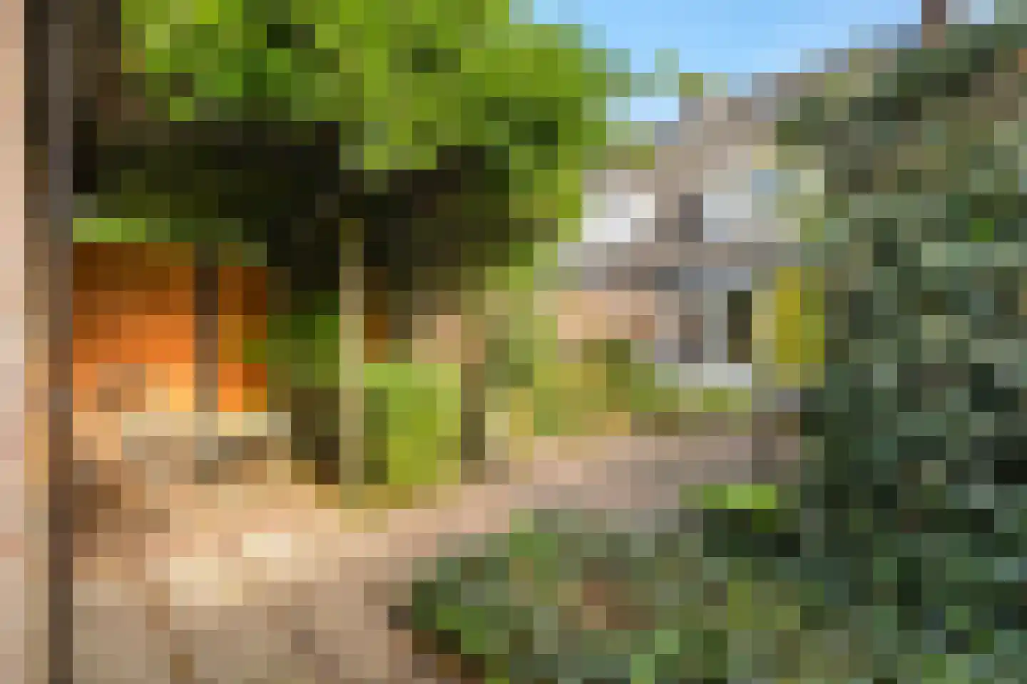 Sterkenhoeve 7 Rijen thumbnail 35