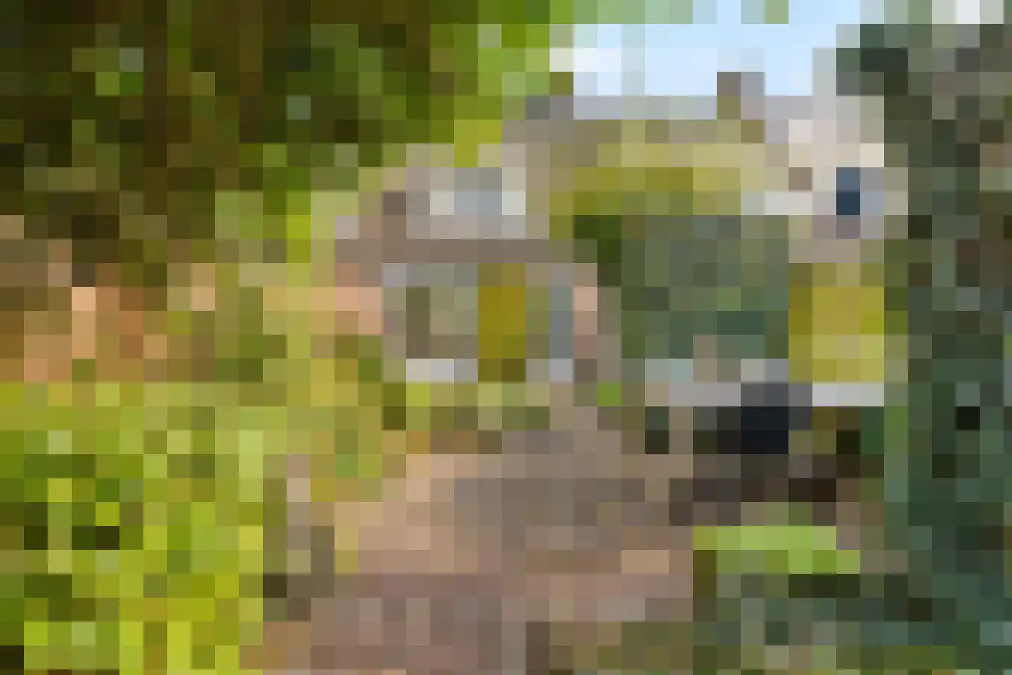 Sterkenhoeve 7 Rijen thumbnail 36