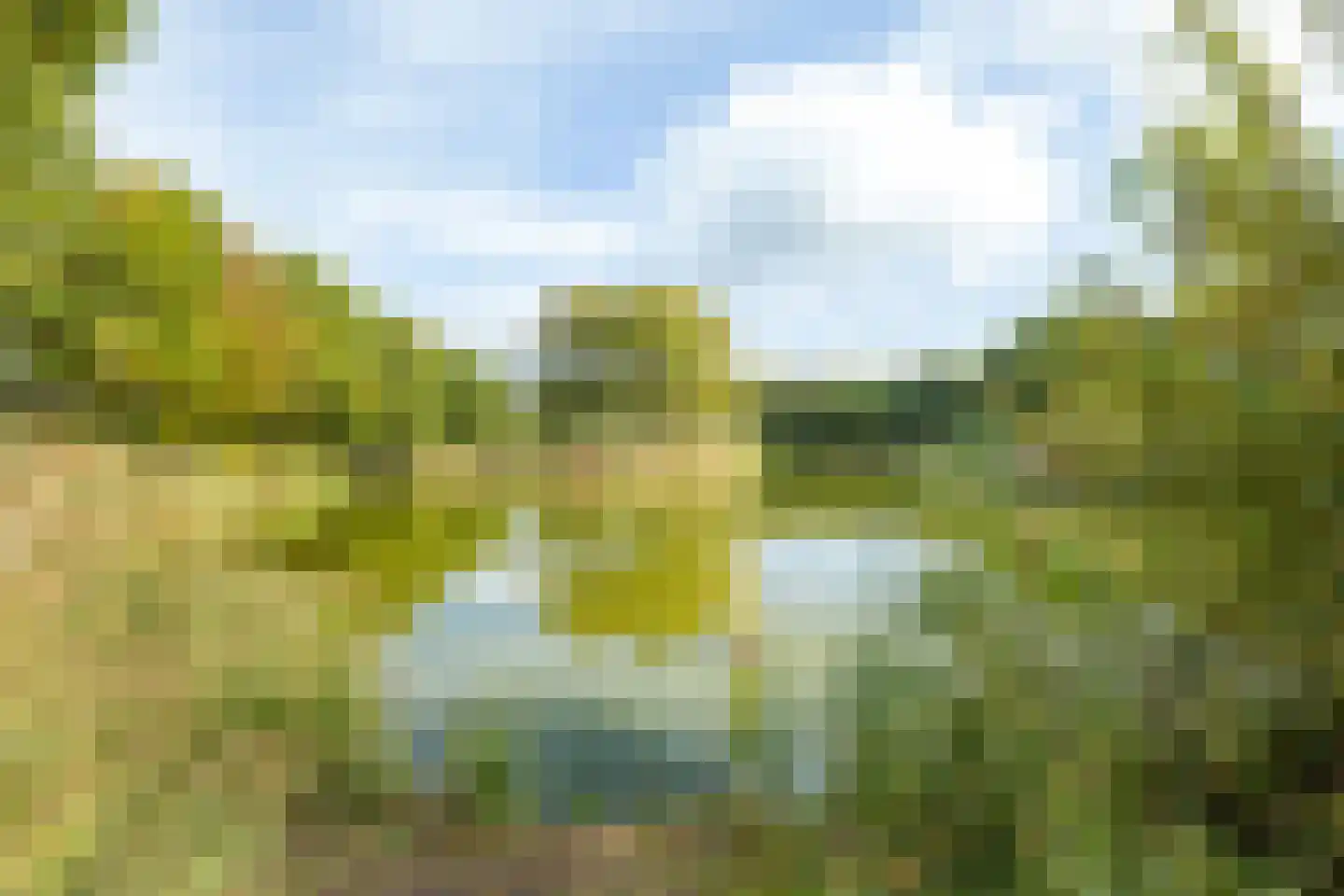 Sterkenhoeve 7 Rijen thumbnail 39
