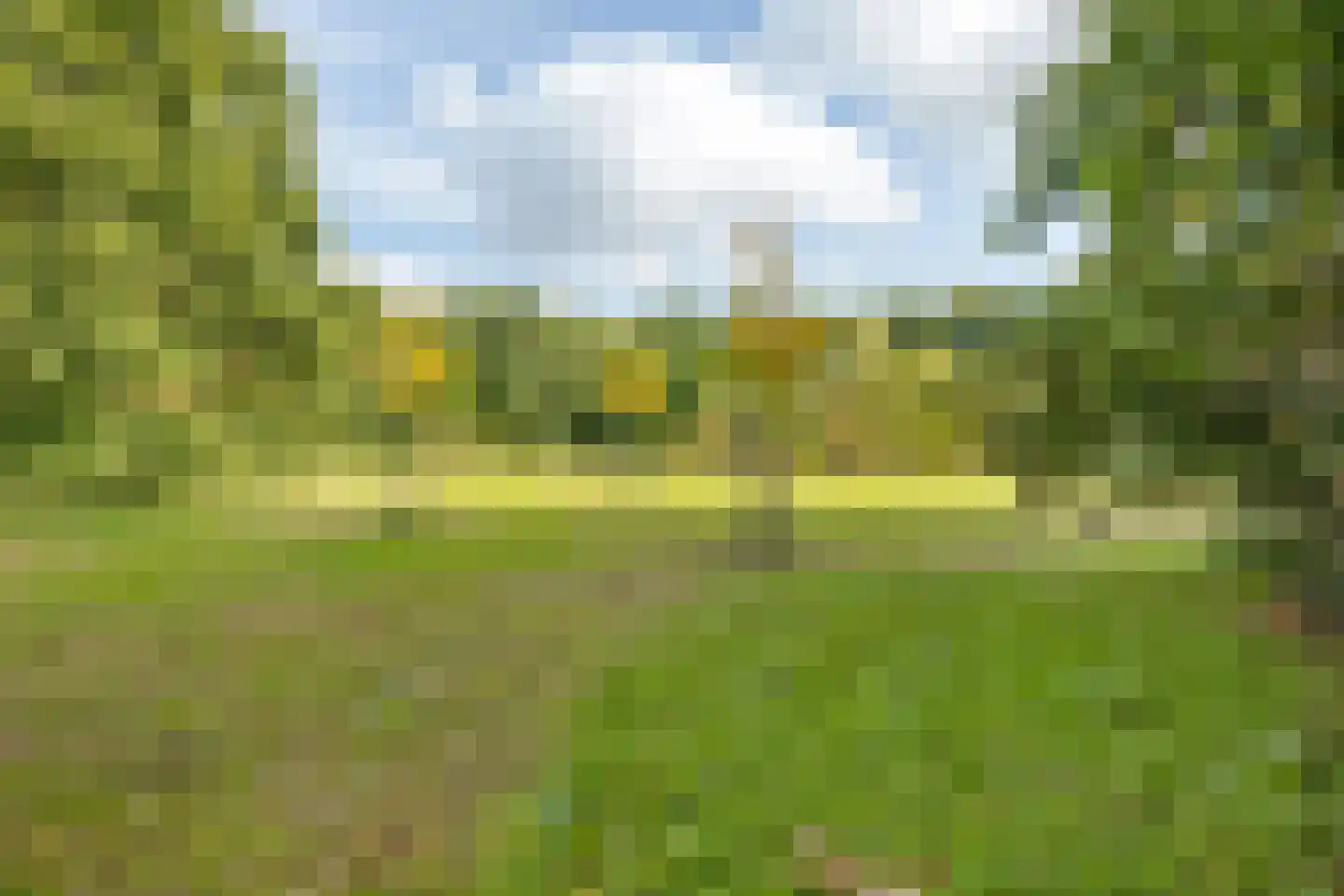 Sterkenhoeve 7 Rijen thumbnail 40