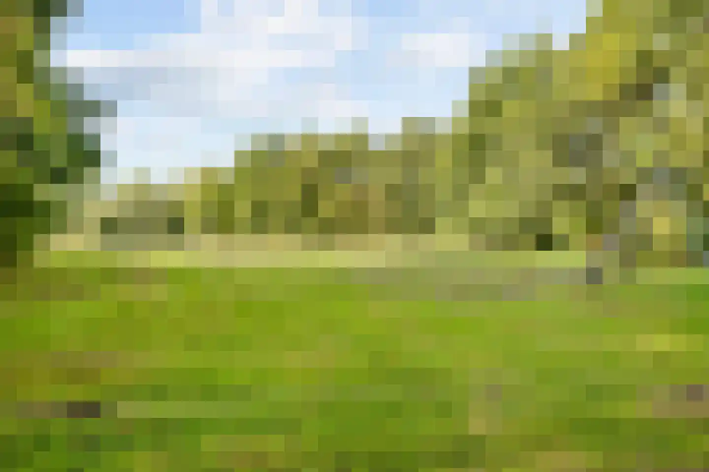 Sterkenhoeve 7 Rijen thumbnail 41