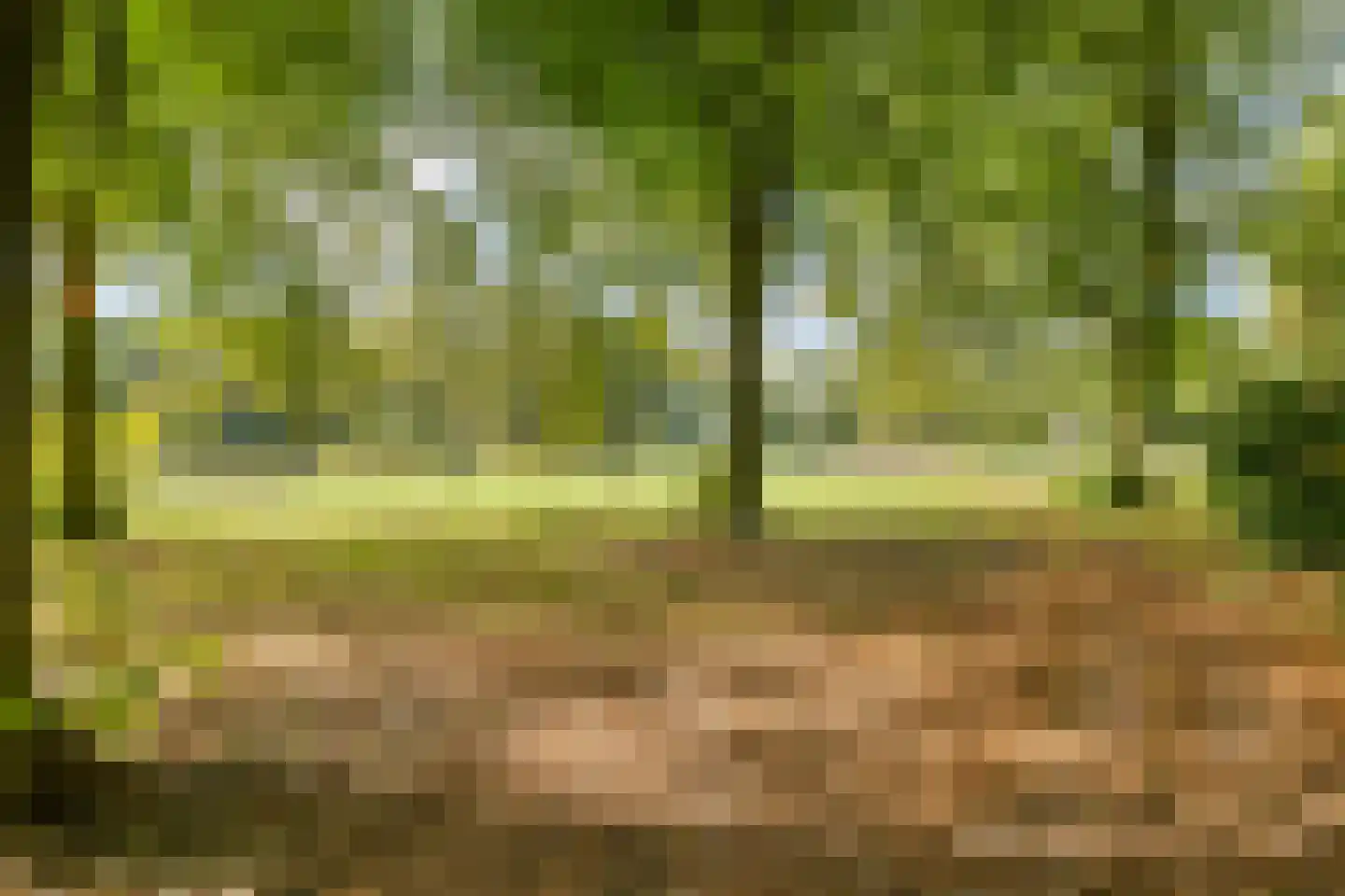 Sterkenhoeve 7 Rijen thumbnail 42