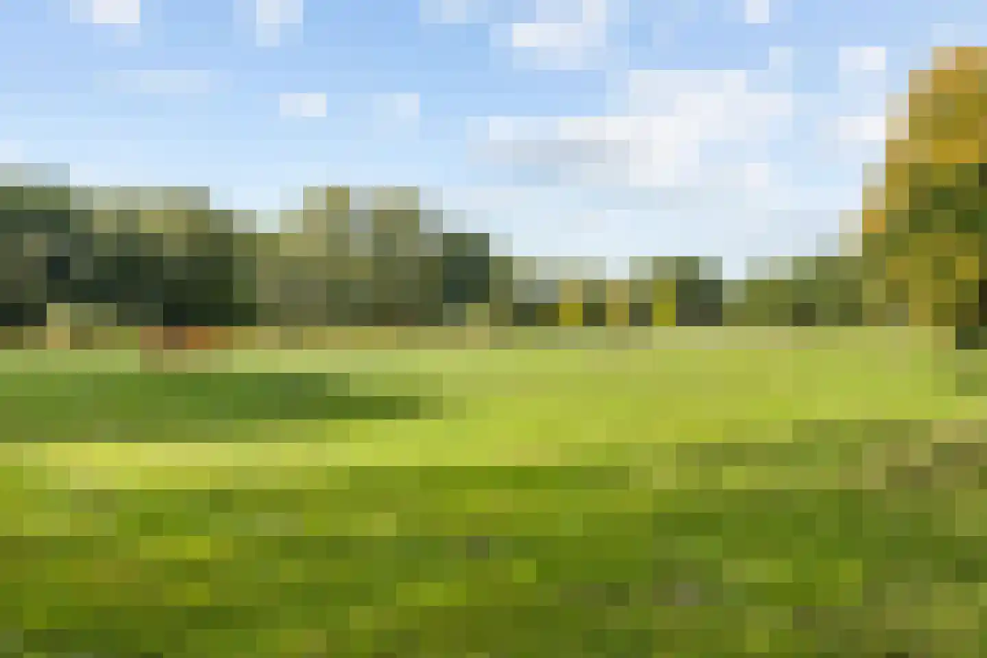 Sterkenhoeve 7 Rijen thumbnail 43