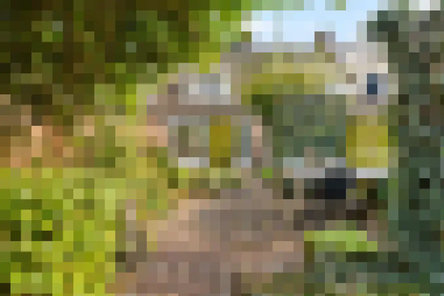 Sterkenhoeve 7 Rijen thumbnail 7