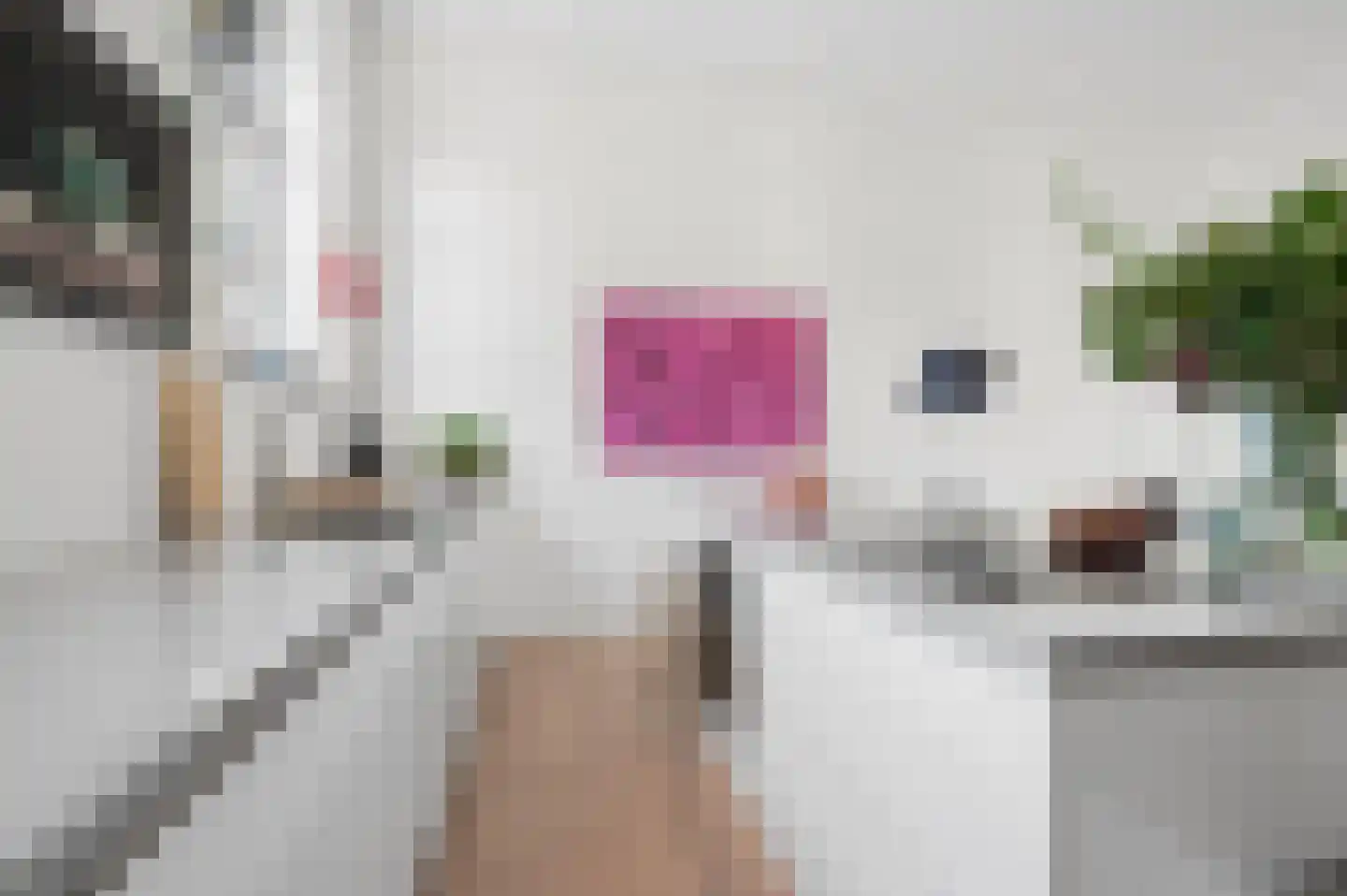 Sterkerij 22 Ede thumbnail 16