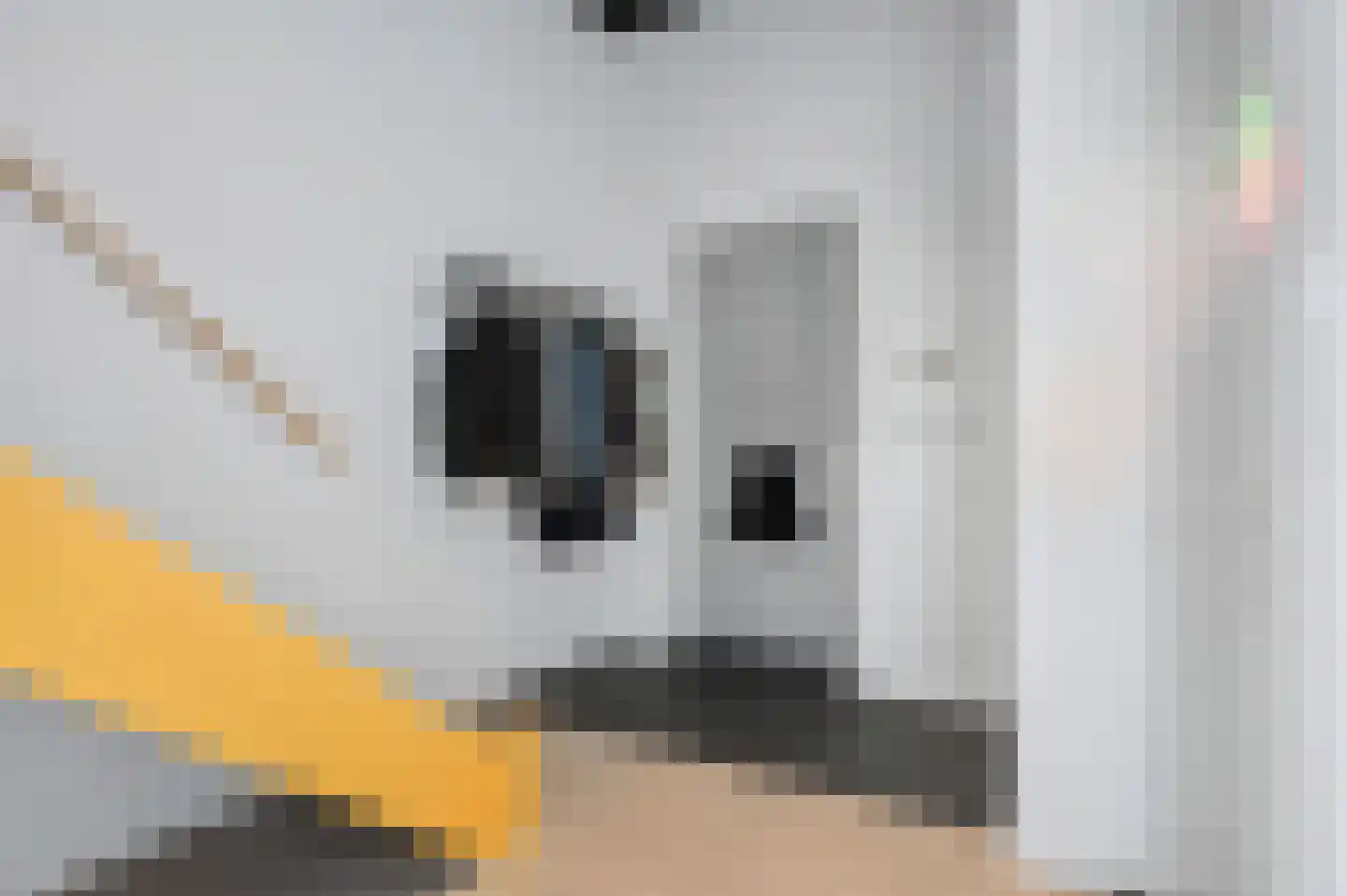 Sterkerij 22 Ede thumbnail 17