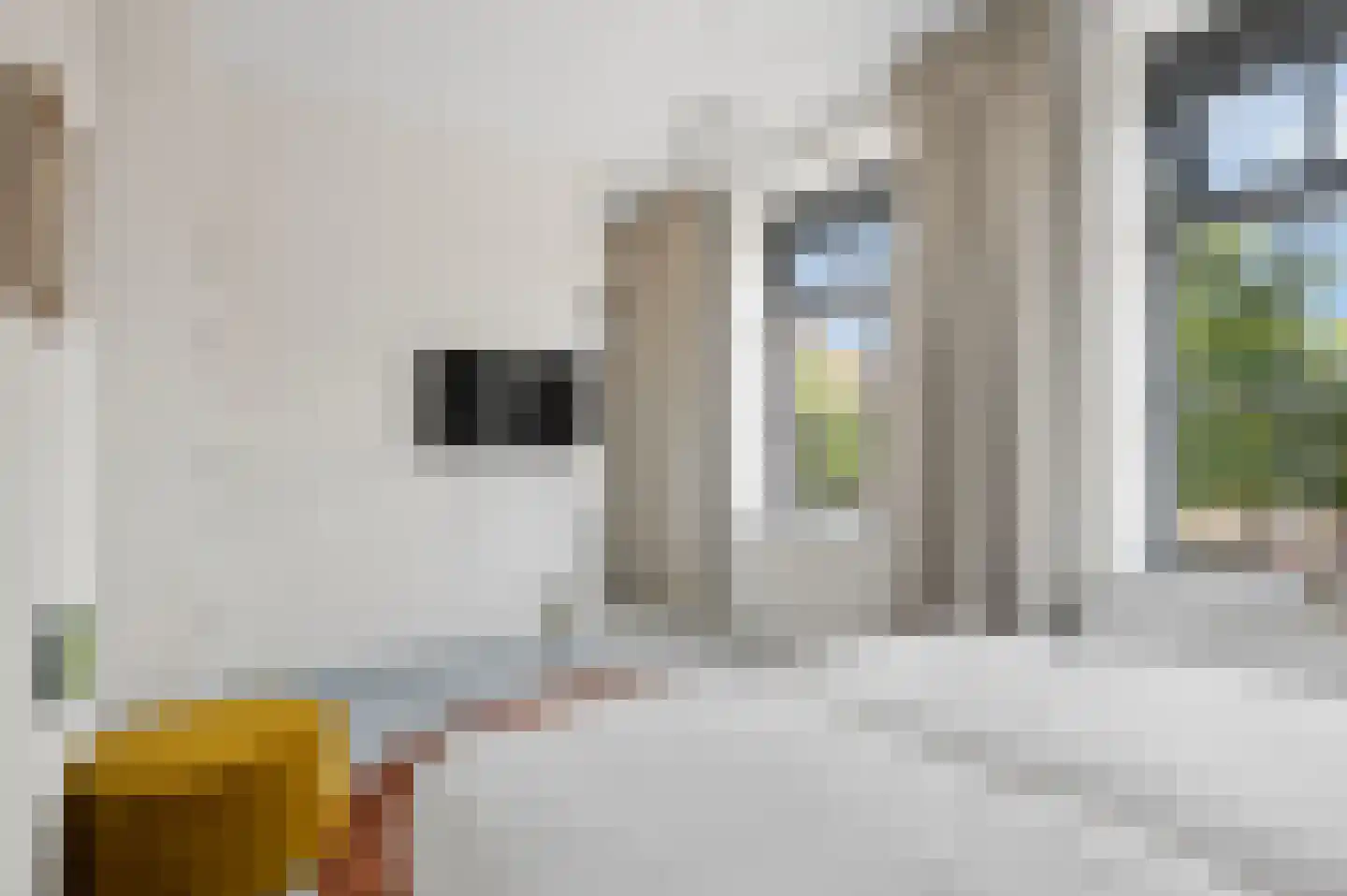 Sterkerij 22 Ede thumbnail 21