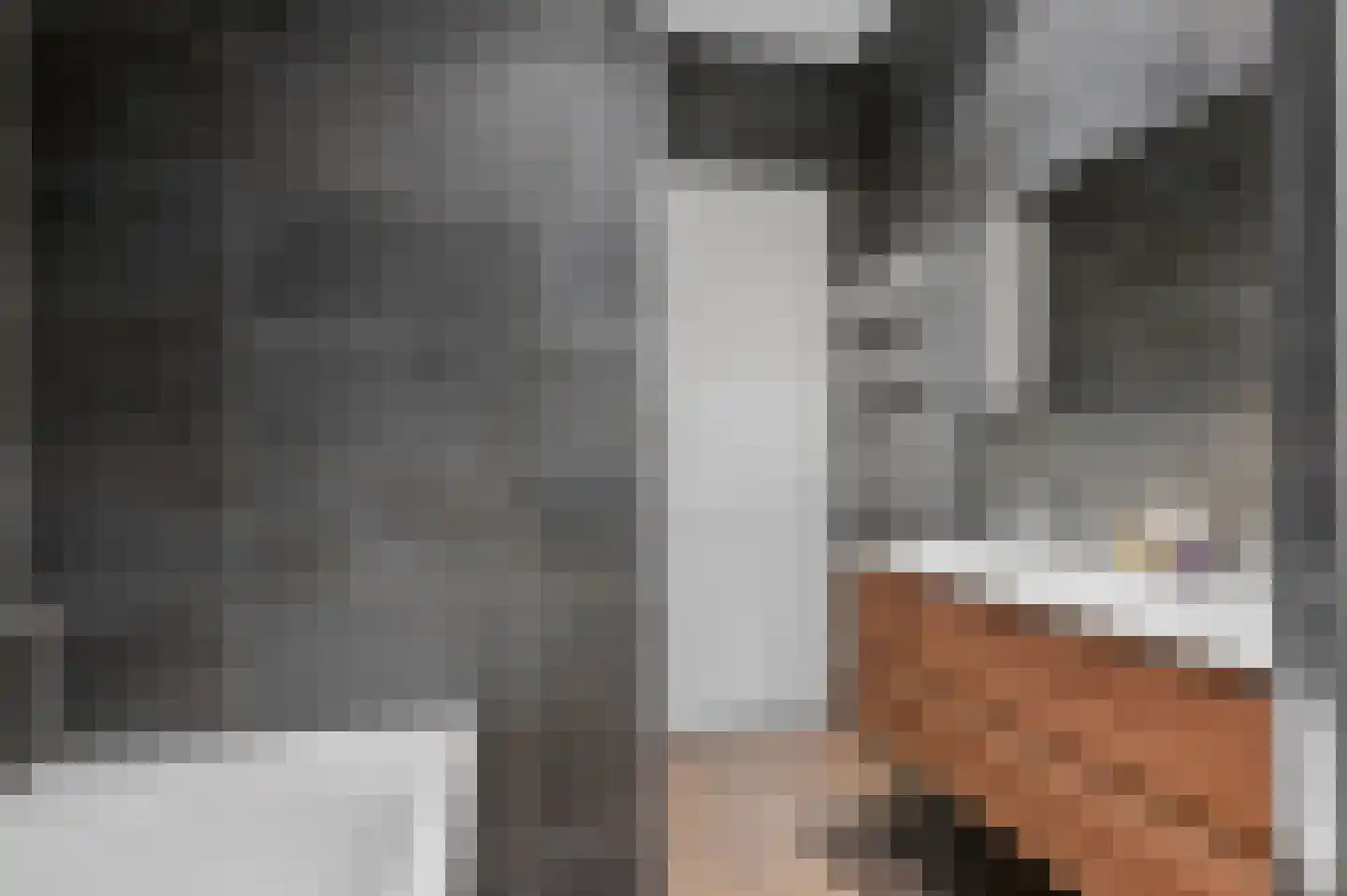 Sterkerij 22 Ede thumbnail 28