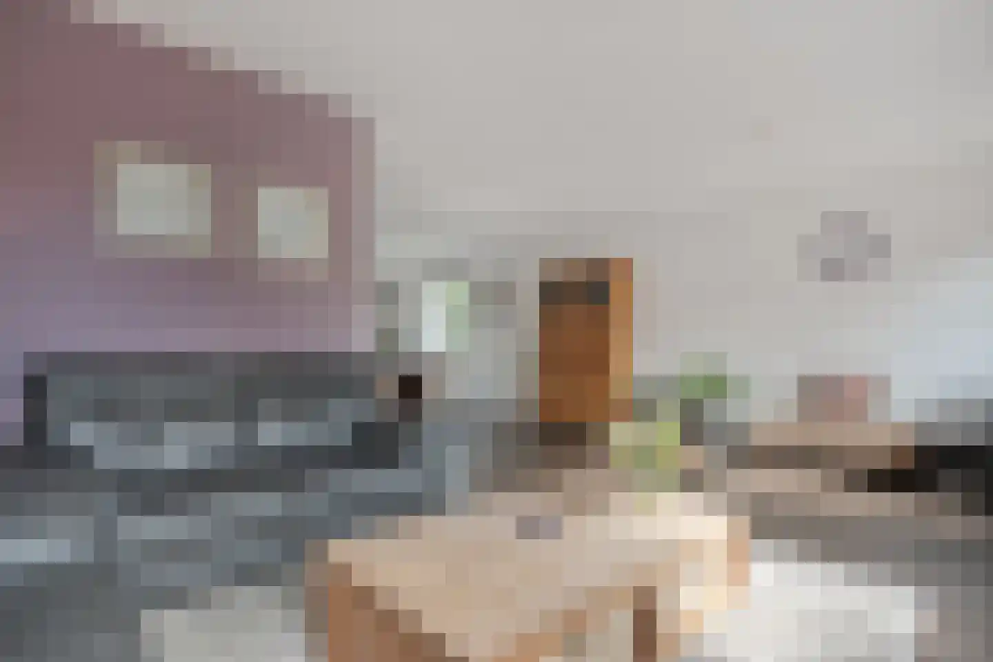 Sterkerijstraat 31 Slagharen thumbnail 10