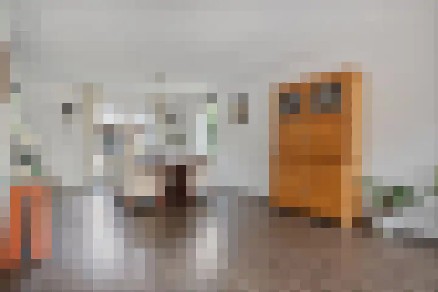 Sterkerijstraat 31 Slagharen thumbnail 12