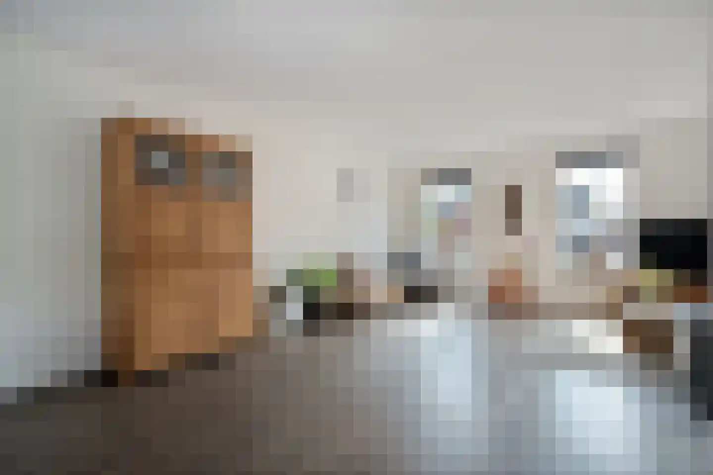 Sterkerijstraat 31 Slagharen thumbnail 13