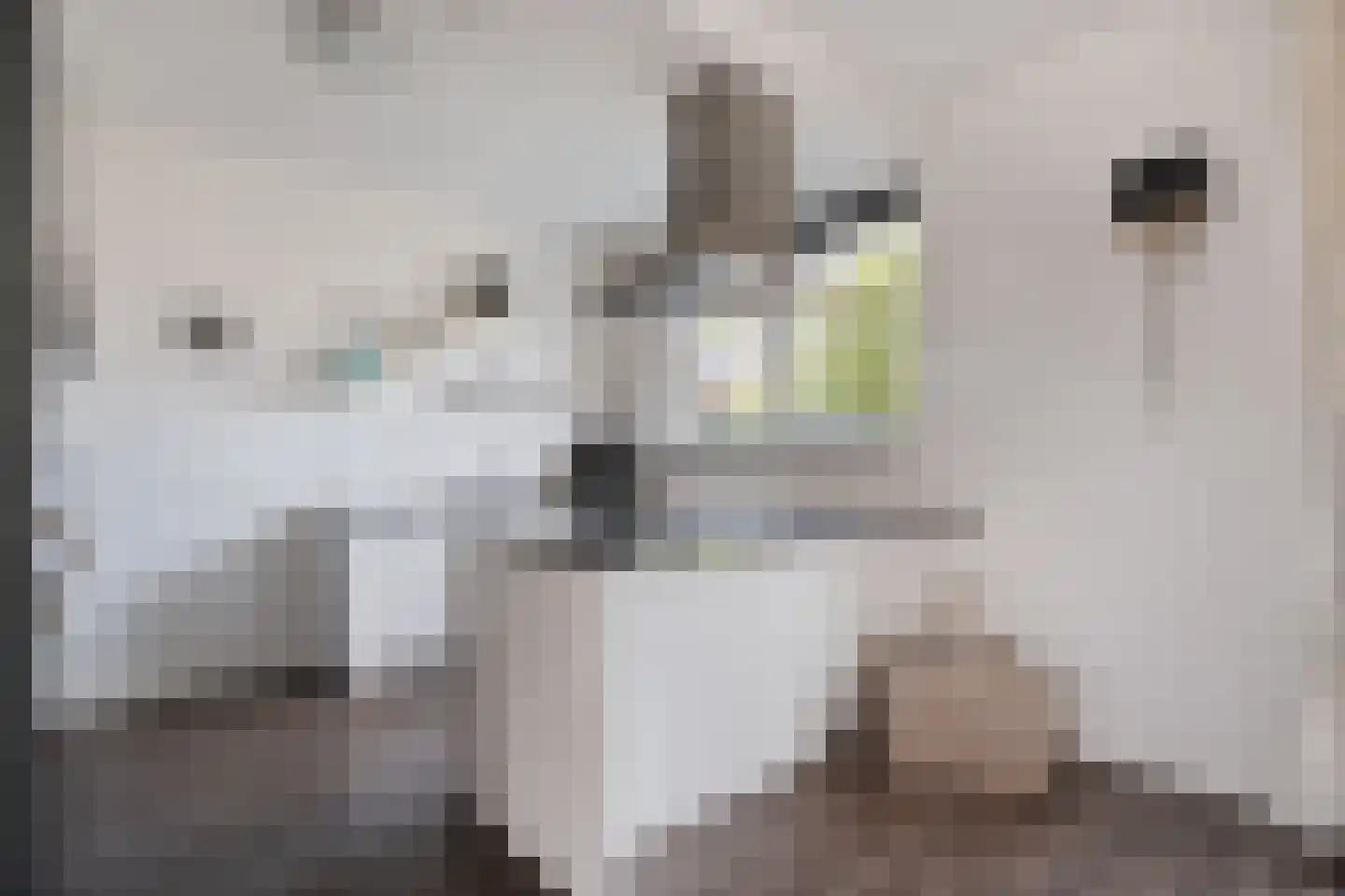 Sterkerijstraat 31 Slagharen thumbnail 16