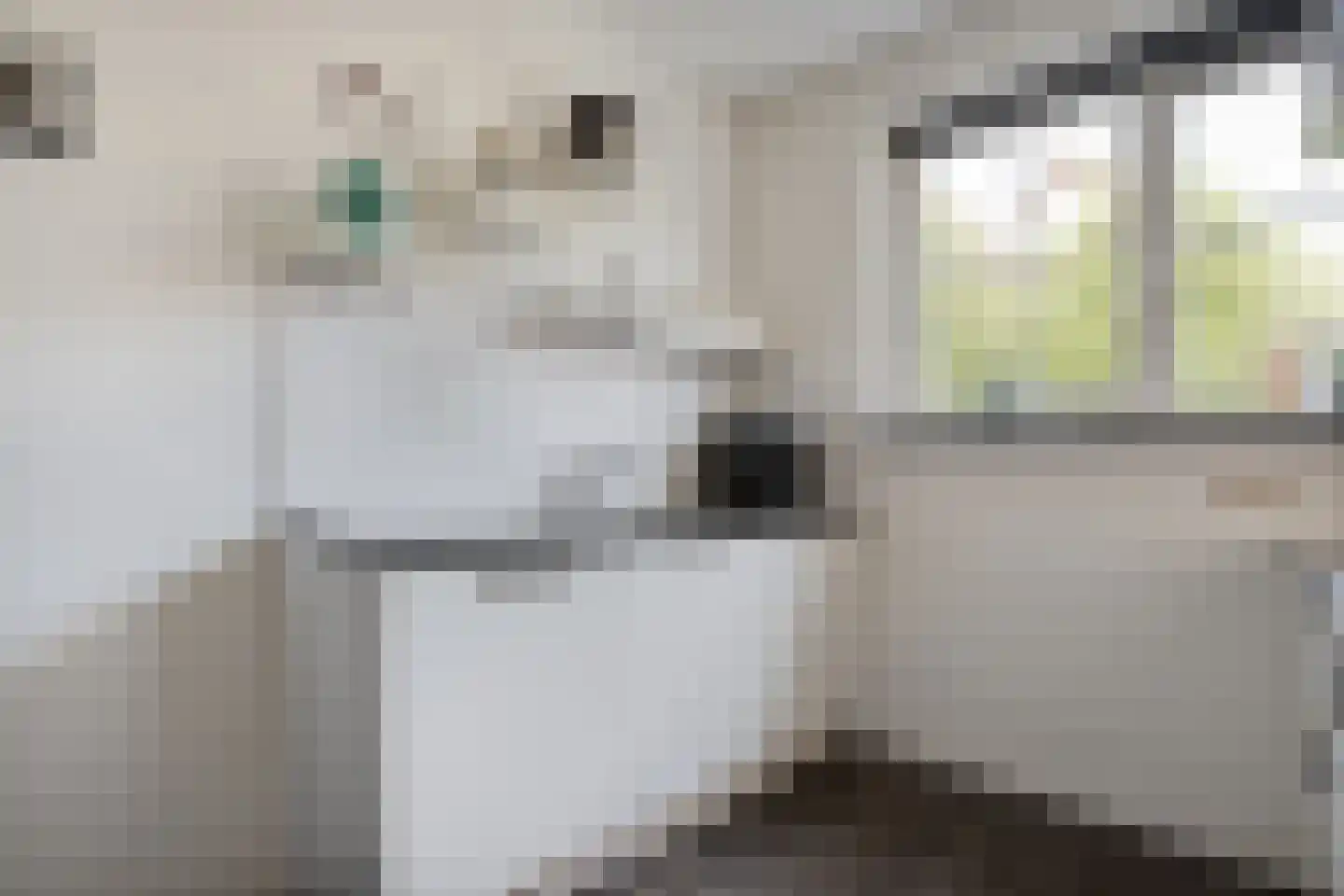 Sterkerijstraat 31 Slagharen thumbnail 20