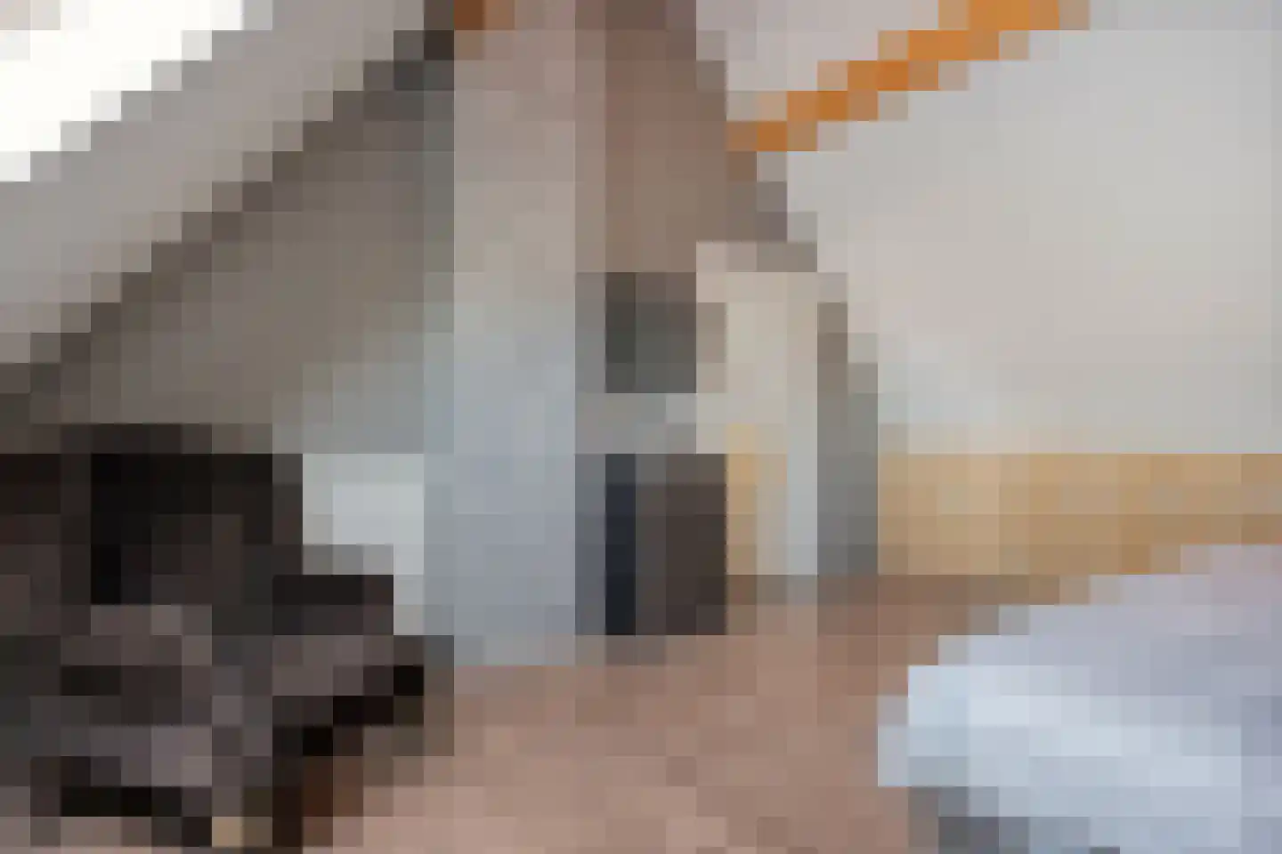 Sterkerijstraat 31 Slagharen thumbnail 27