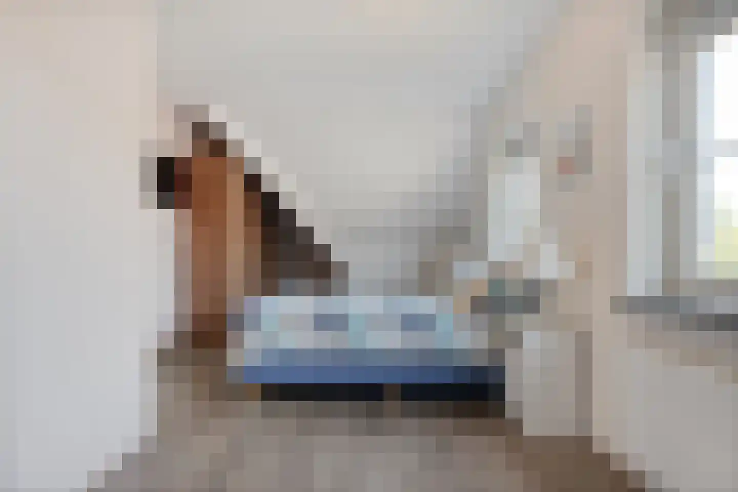 Sterkerijstraat 31 Slagharen thumbnail 29