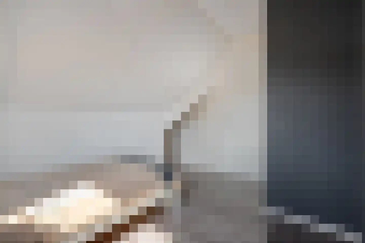 Sterkerijstraat 31 Slagharen thumbnail 33
