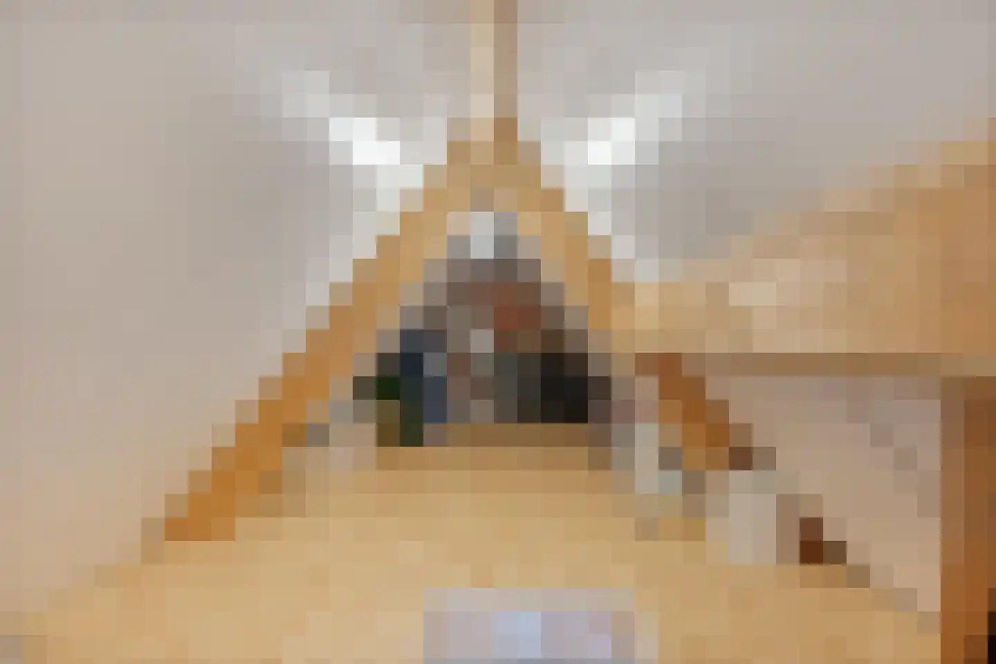 Sterkerijstraat 31 Slagharen thumbnail 37