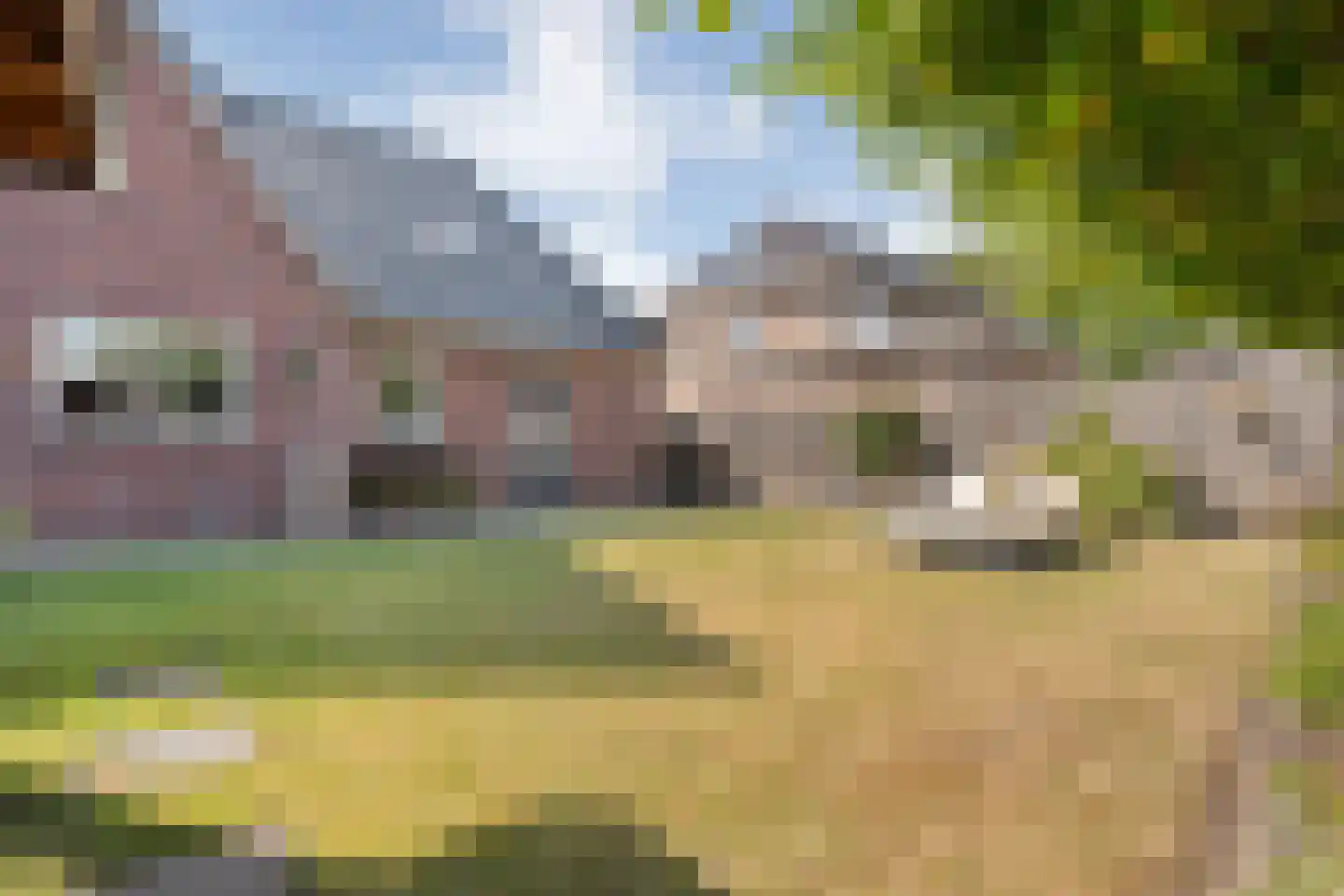Sterkerijstraat 31 Slagharen thumbnail 39