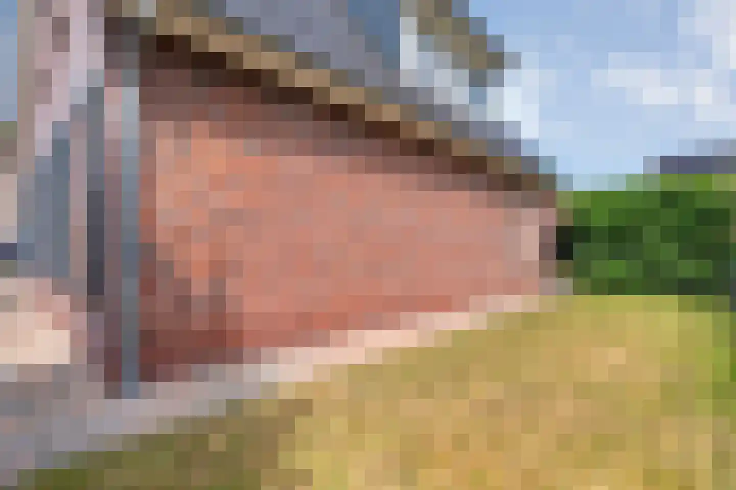 Sterkerijstraat 31 Slagharen thumbnail 41