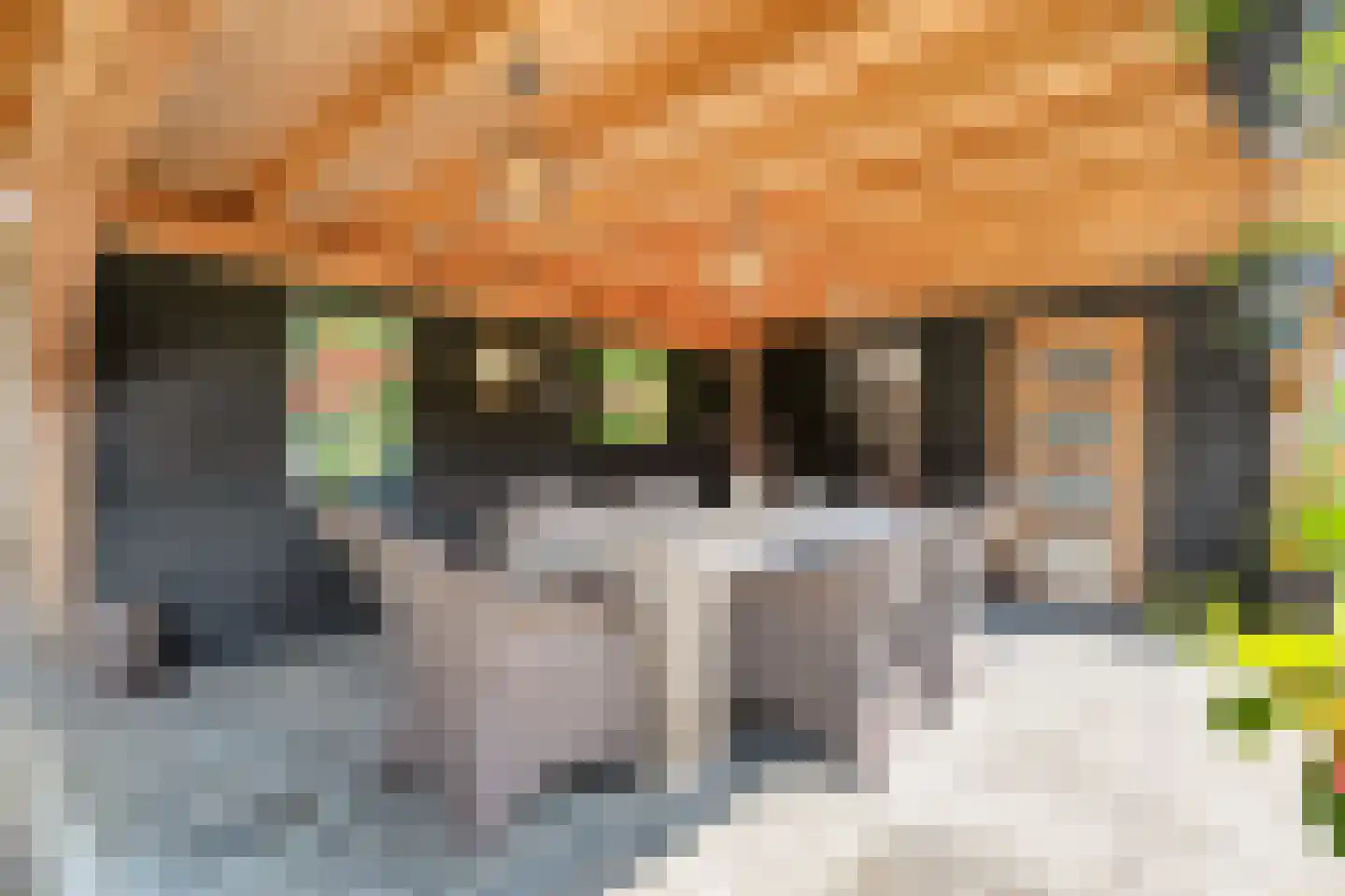 Sterkerijstraat 31 Slagharen thumbnail 43