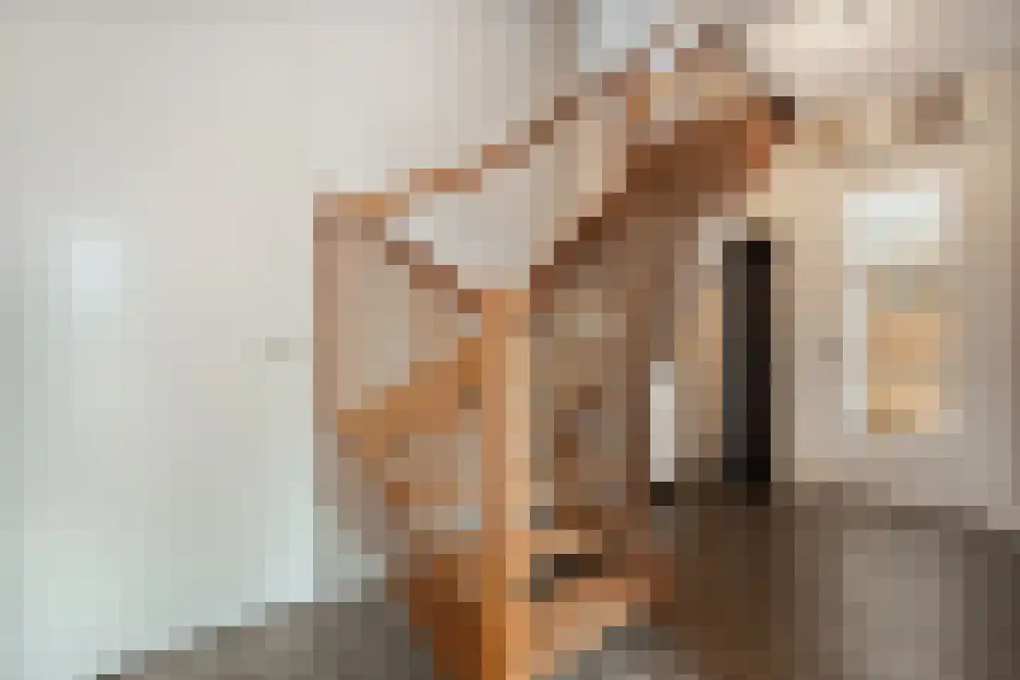 Sterkerijstraat 31 Slagharen thumbnail 6