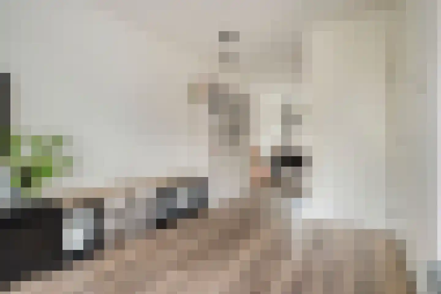 Sterkerijstraat 5 Slagharen thumbnail 15