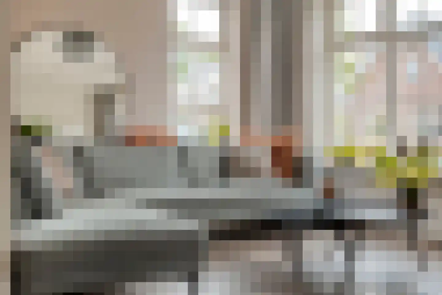 Sterkerijstraat 5 Slagharen thumbnail 17