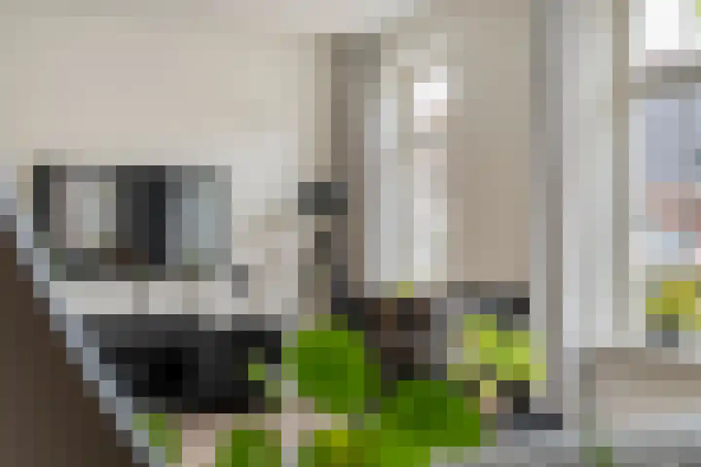 Sterkerijstraat 5 Slagharen thumbnail 18