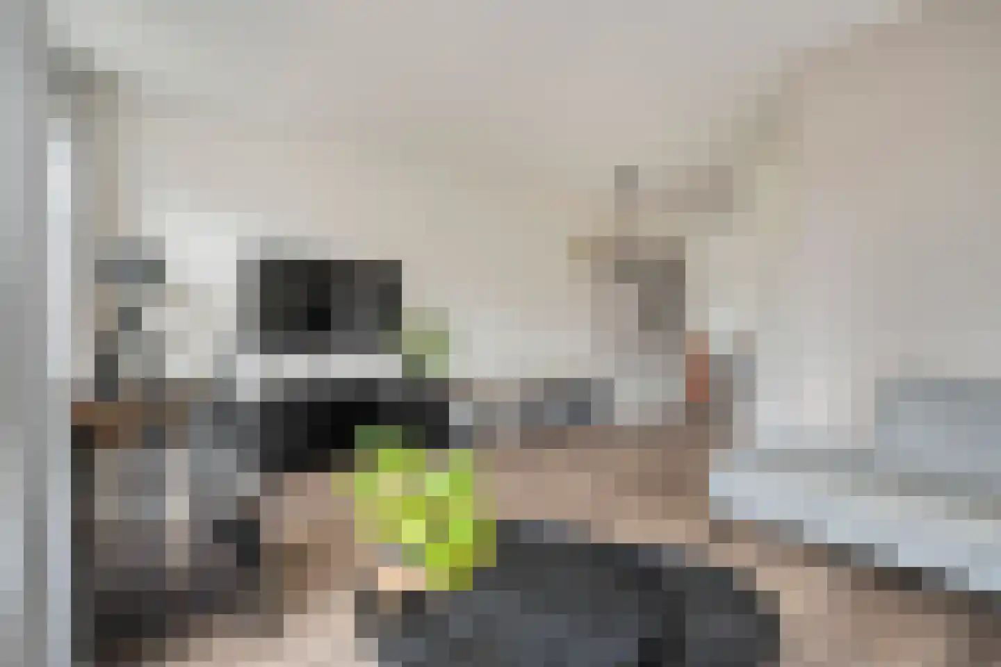 Sterkerijstraat 5 Slagharen thumbnail 19