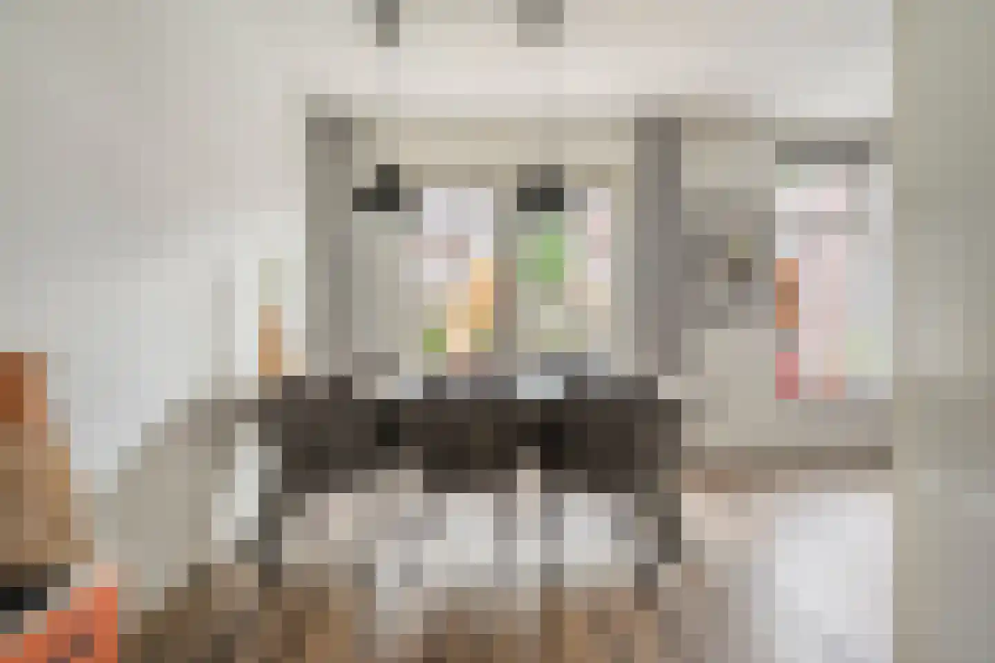 Sterkerijstraat 5 Slagharen thumbnail 20