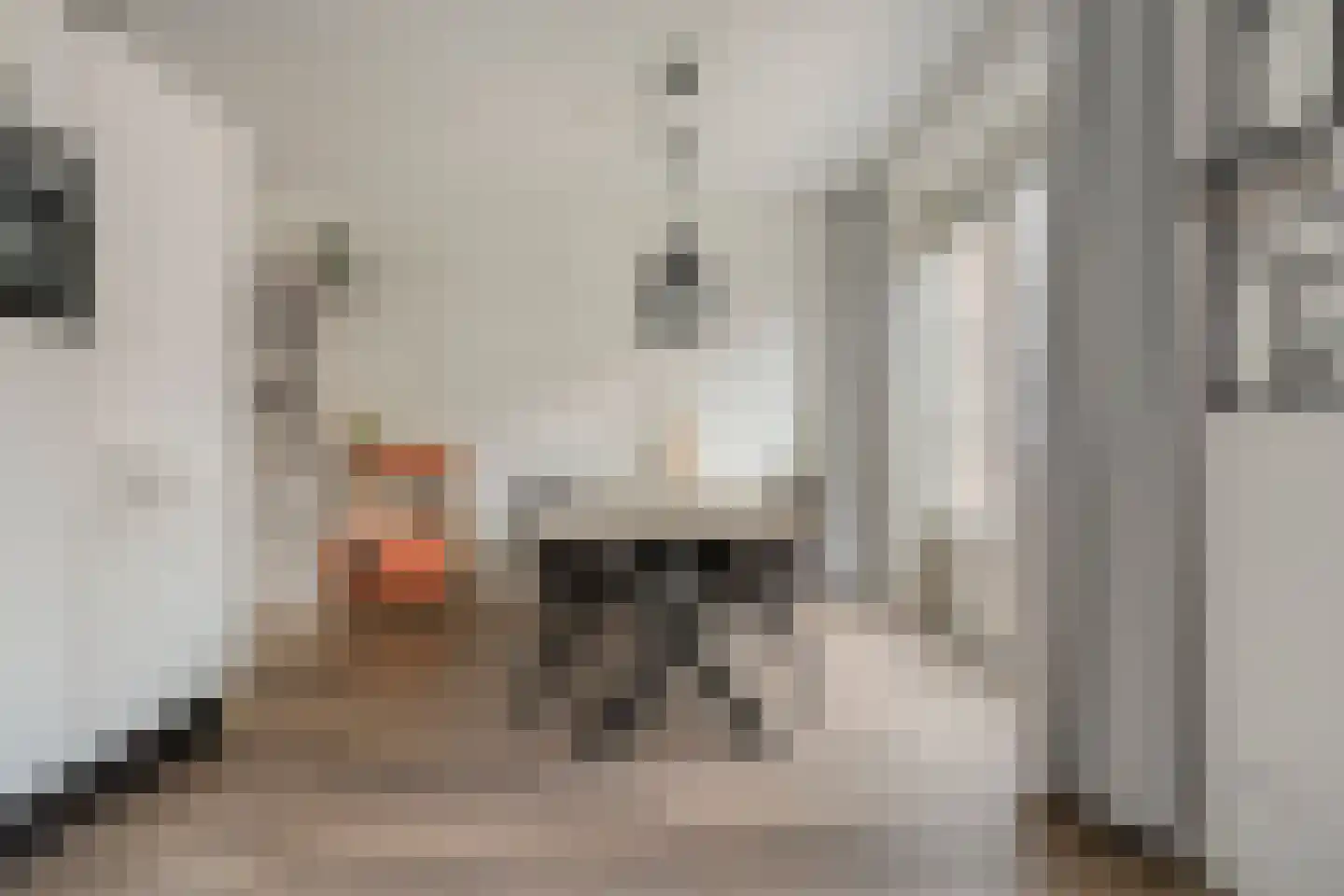 Sterkerijstraat 5 Slagharen thumbnail 21