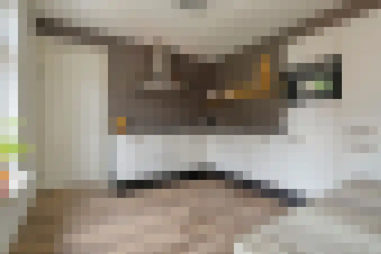 Sterkerijstraat 5 Slagharen thumbnail 23