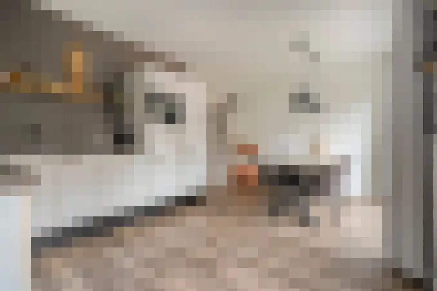 Sterkerijstraat 5 Slagharen thumbnail 25