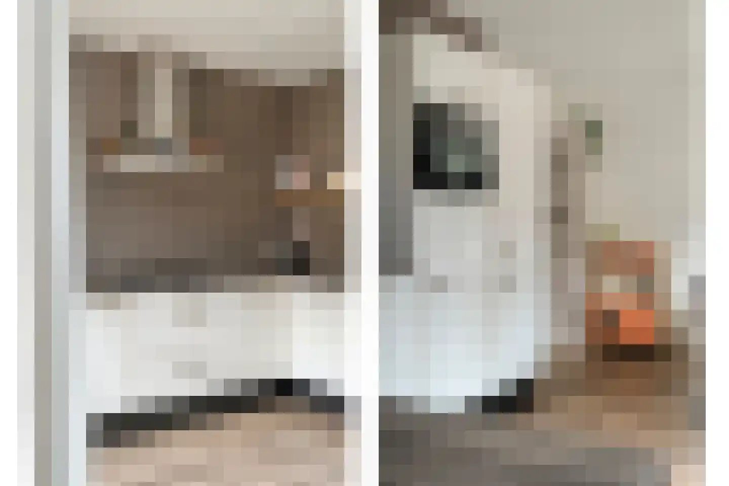 Sterkerijstraat 5 Slagharen thumbnail 27