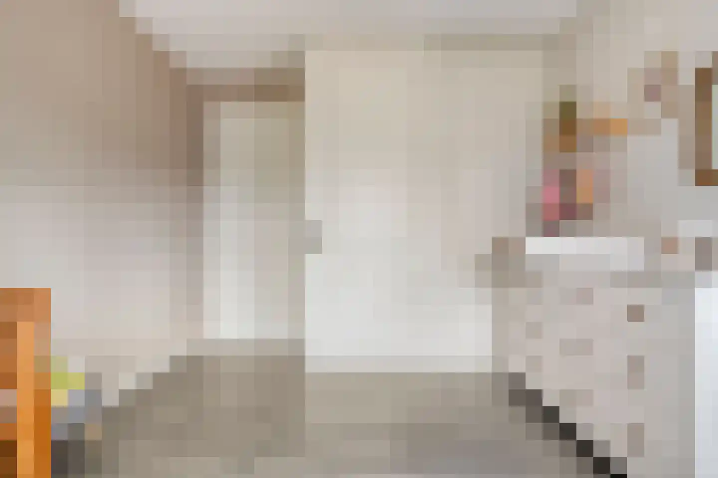 Sterkerijstraat 5 Slagharen thumbnail 34