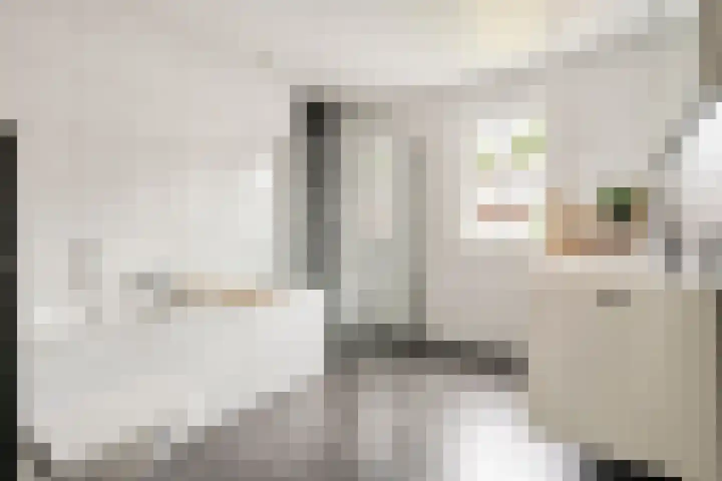 Sterkerijstraat 5 Slagharen thumbnail 35