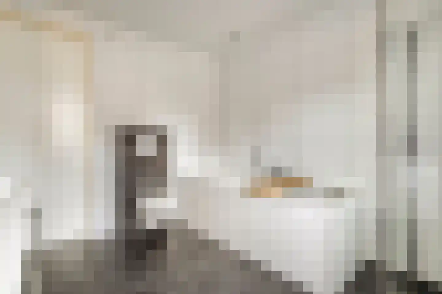 Sterkerijstraat 5 Slagharen thumbnail 36