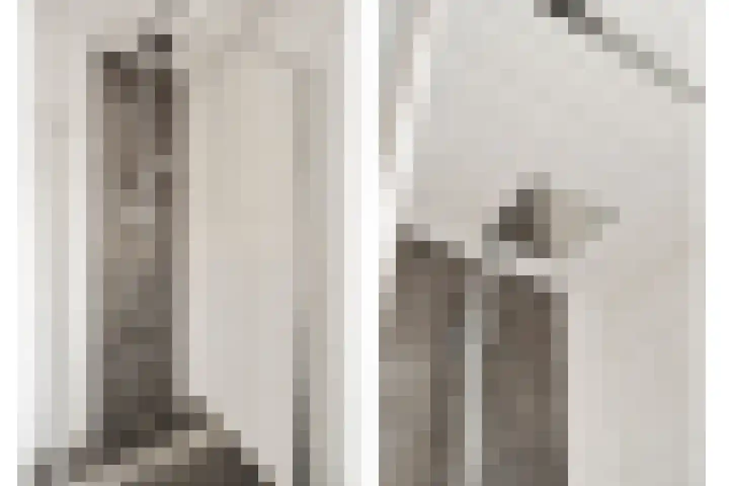 Sterkerijstraat 5 Slagharen thumbnail 38