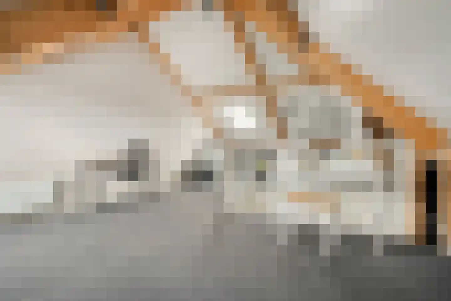 Sterkerijstraat 5 Slagharen thumbnail 39