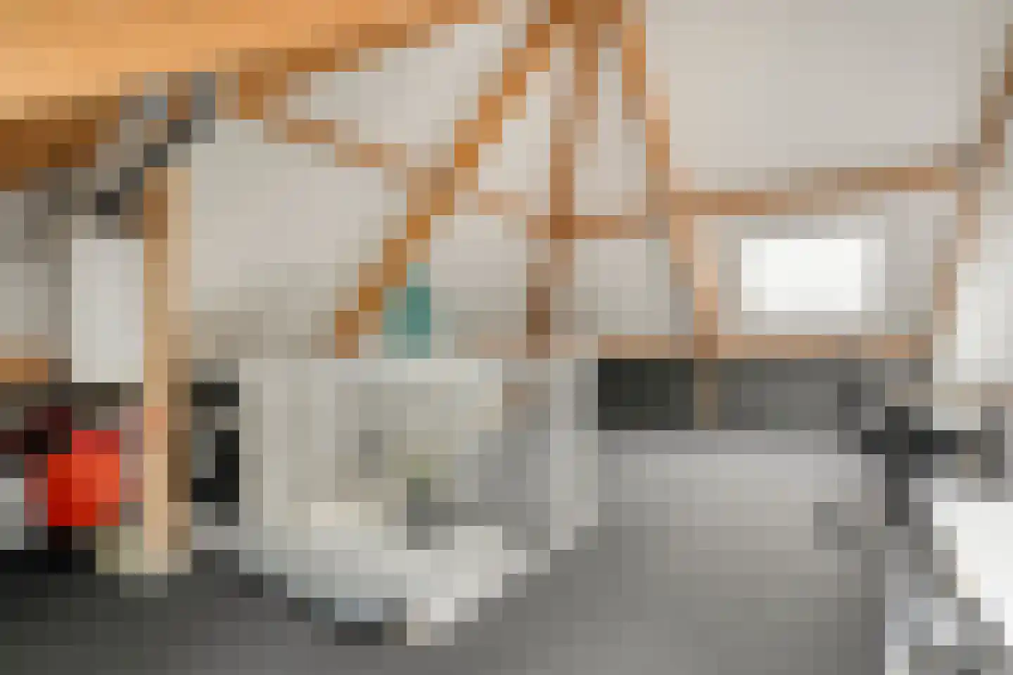 Sterkerijstraat 5 Slagharen thumbnail 40