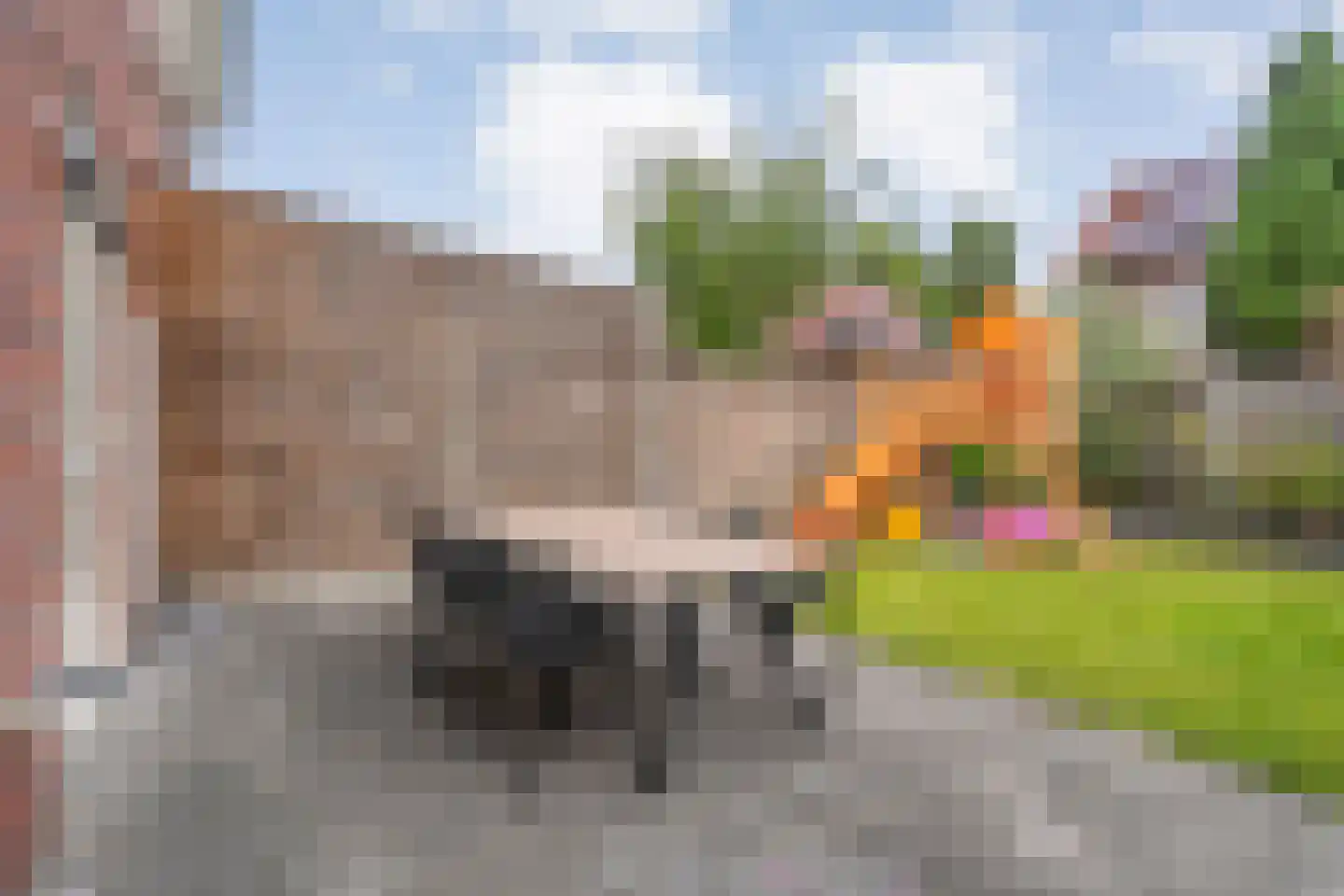 Sterkerijstraat 5 Slagharen thumbnail 43