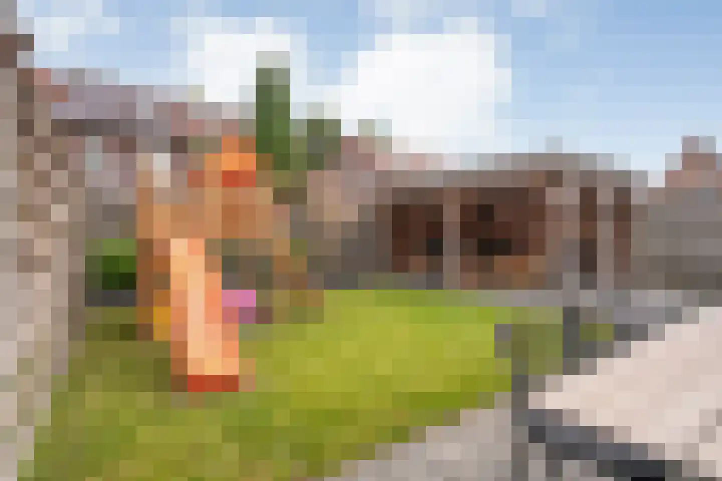 Sterkerijstraat 5 Slagharen thumbnail 45