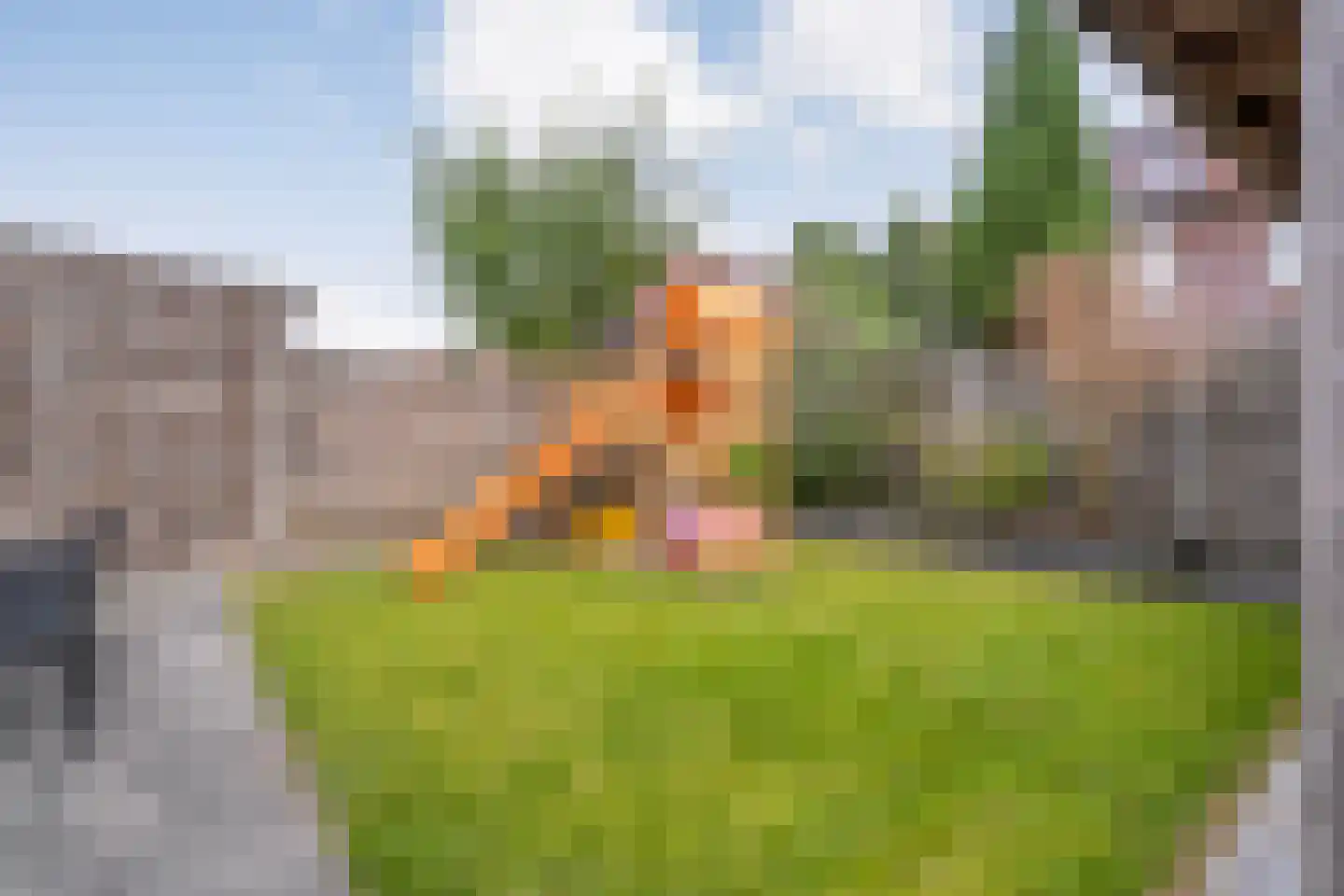 Sterkerijstraat 5 Slagharen thumbnail 46