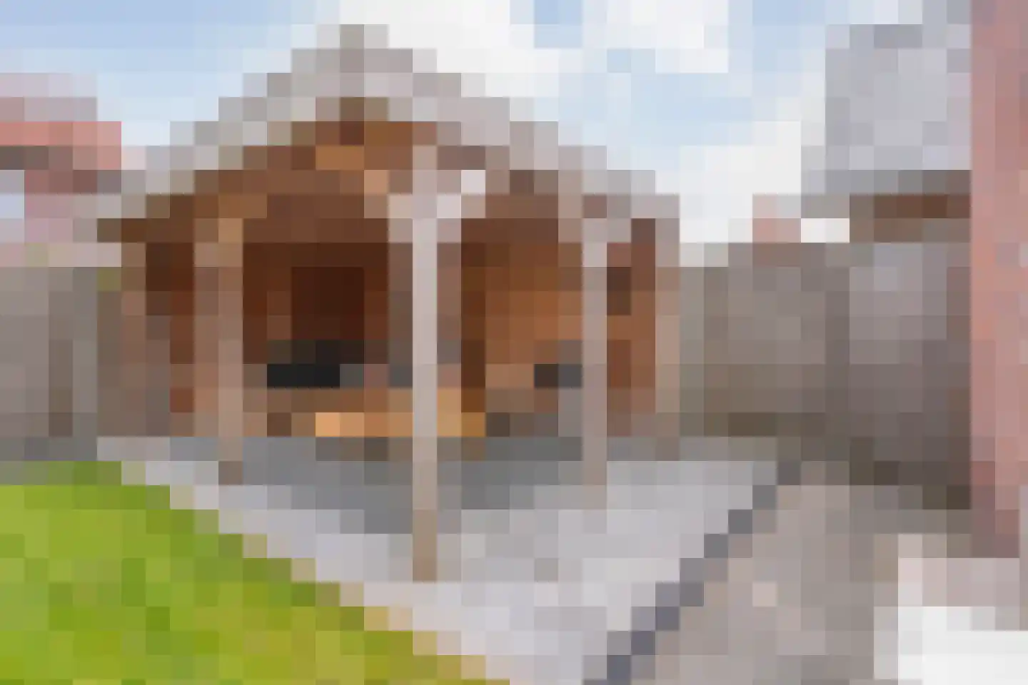 Sterkerijstraat 5 Slagharen thumbnail 48